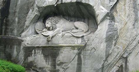 Unravelling the Tragic Story Behind the Impressive Lion 